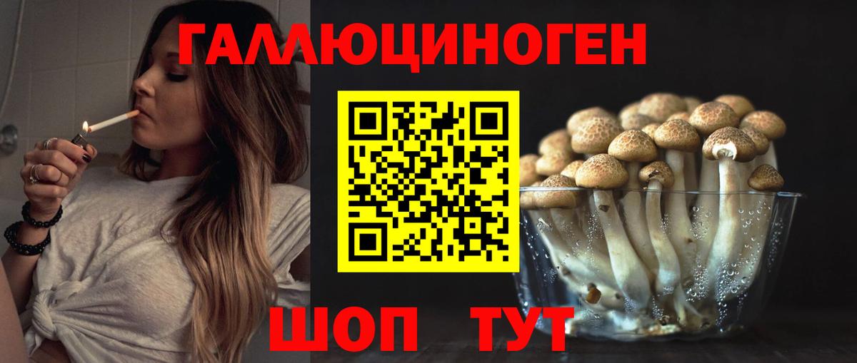 Рославль  Псилоцибиновые грибы мицелий  Вход с VPN 